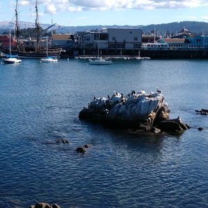 Meet your Posher, Sandra